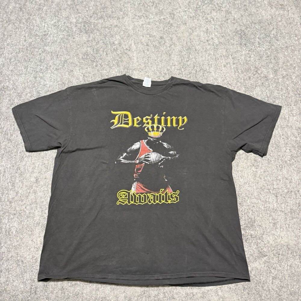 LeBron James Destiny Awaits Shirt Mens 3XL Delta Pro Weight Lakers Graphic Tee